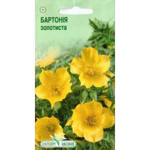 Бартонія золотиста - квіти, 0,2 г насіння, ТМ Елітсорт фото, цiна